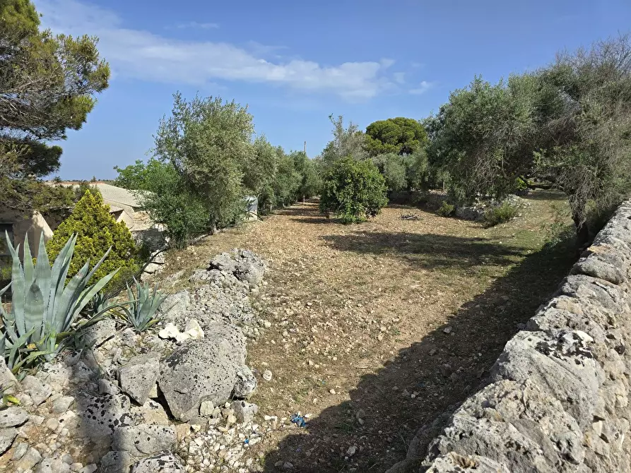 Immagine 9 di Rustico / casale in vendita  in CUGNI STALLAINI a Noto