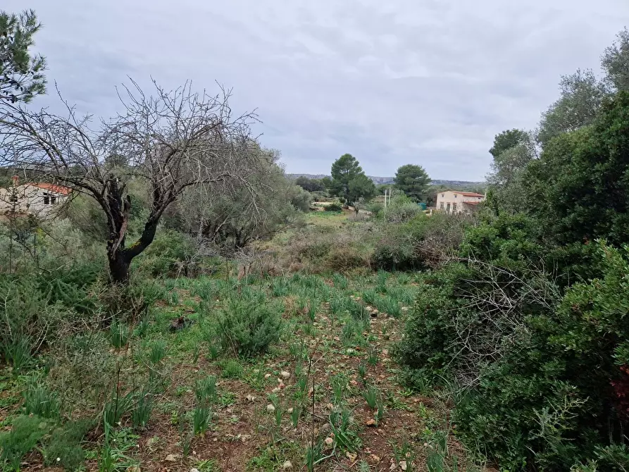 Immagine 8 di Rustico / casale in vendita  in Cugni Stallaini a Noto