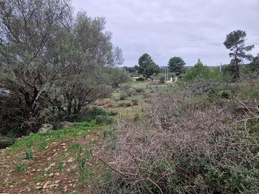 Immagine 10 di Rustico / casale in vendita  in Cugni Stallaini a Noto