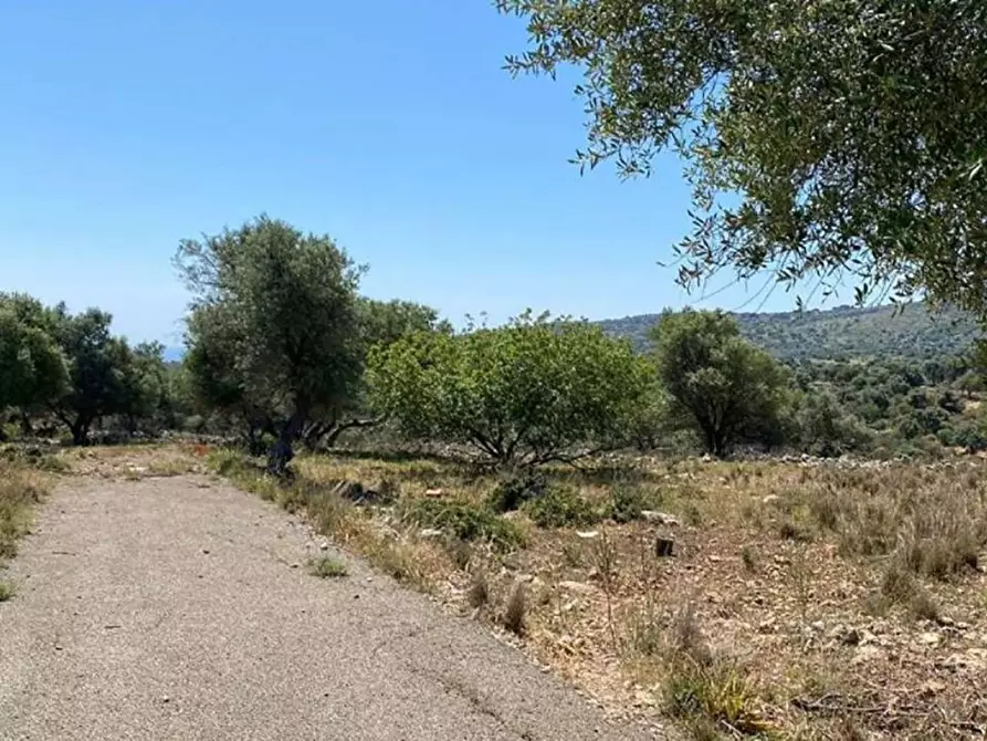 Immagine 1 di Terreno agricolo in vendita  in Contrada Teste Mozze a Noto