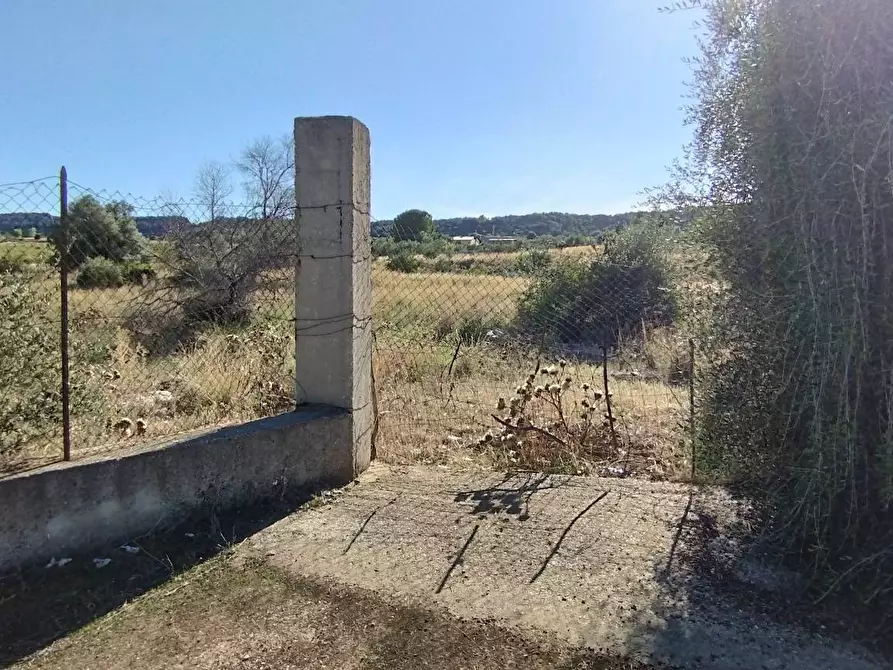 Immagine 1 di Terreno agricolo in vendita  in Contrada Cavadonna a Siracusa