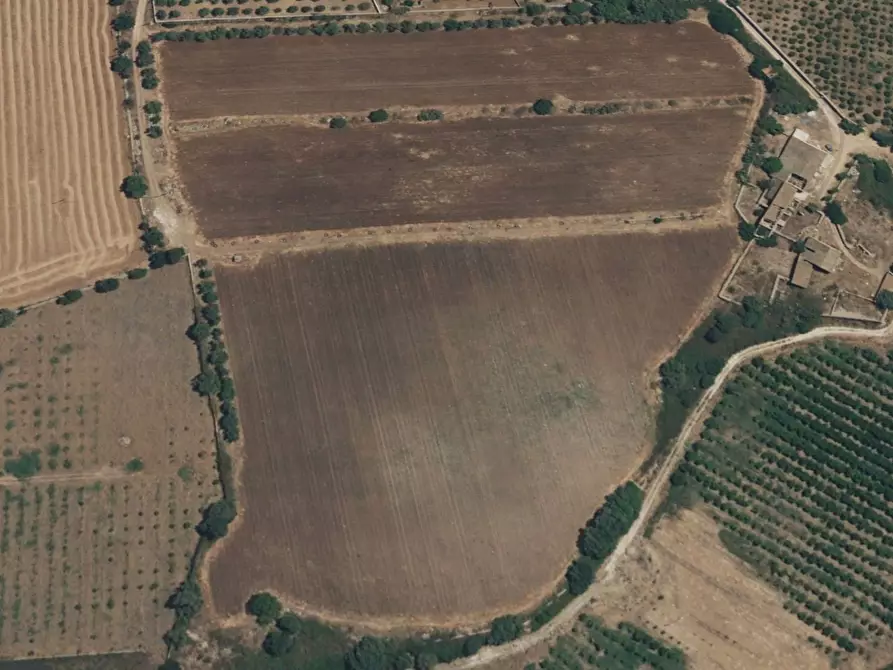 Immagine 1 di Terreno agricolo in vendita  in contrada Laganelli a Siracusa