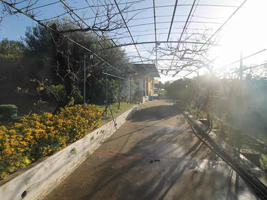 Immagine 2 di Villa in vendita  in Via Diomede a Siracusa