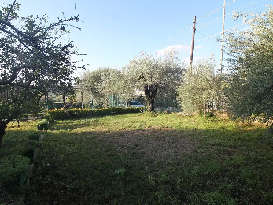 Immagine 5 di Villa in vendita  in Via Diomede a Siracusa