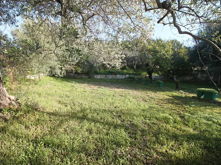 Immagine 15 di Villa in vendita  in Via Diomede a Siracusa