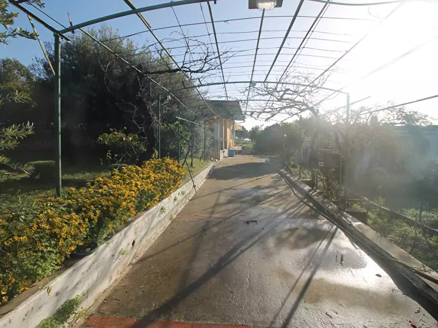 Immagine 16 di Villa in vendita  in Via Diomede a Siracusa