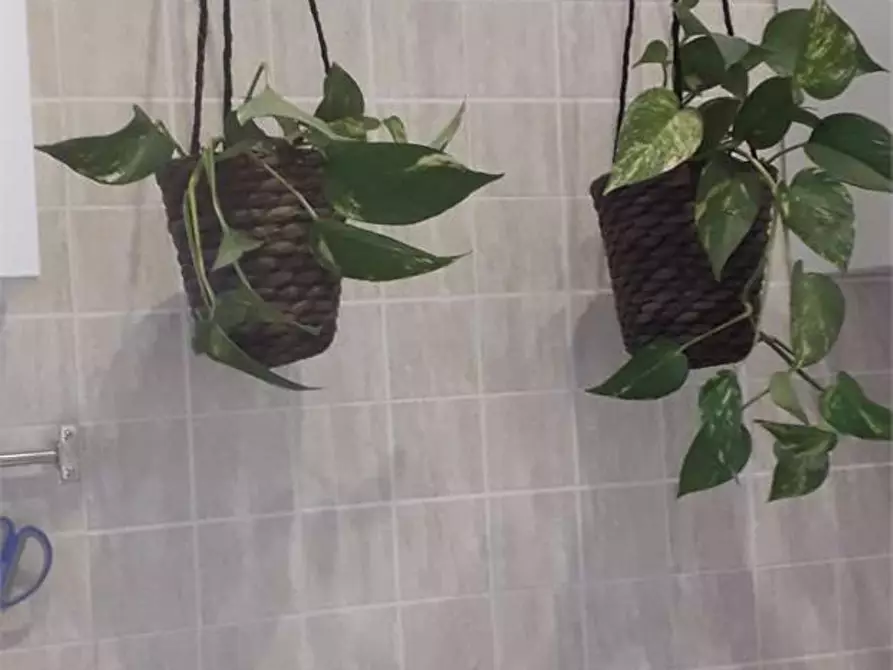 Immagine 3 di Appartamento in vendita  in degli Umiliati a Milano