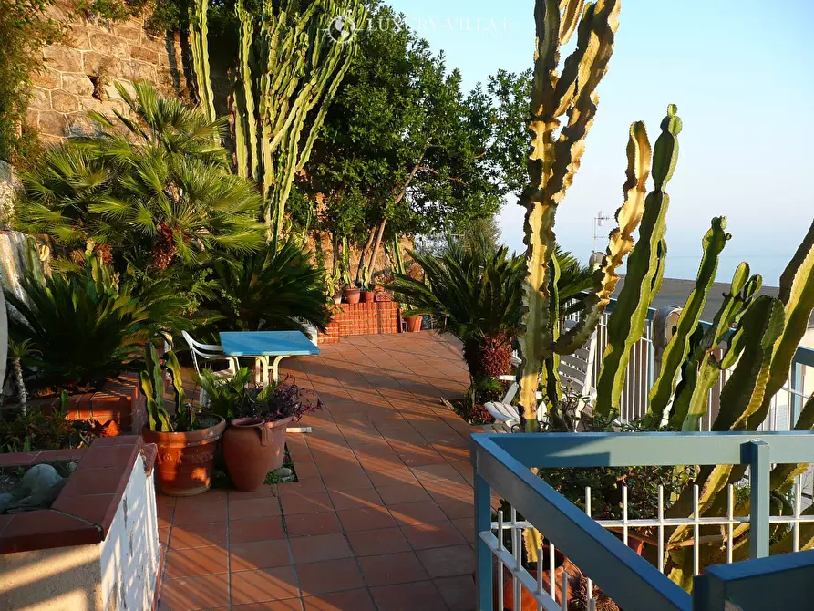 Immagine 3 di Appartamento in vendita  in via delle palme a Ospedaletti