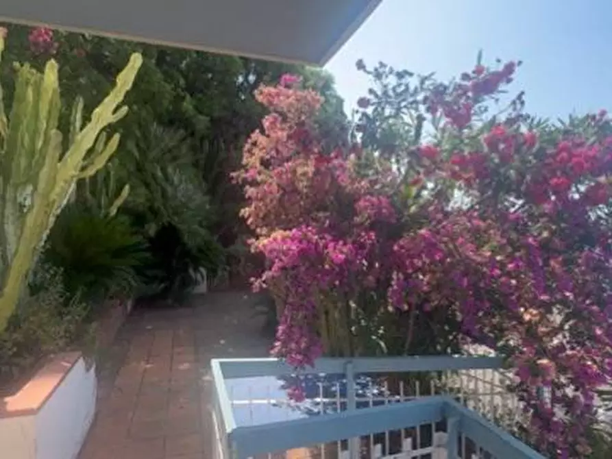 Immagine 23 di Appartamento in vendita  in via delle palme a Ospedaletti