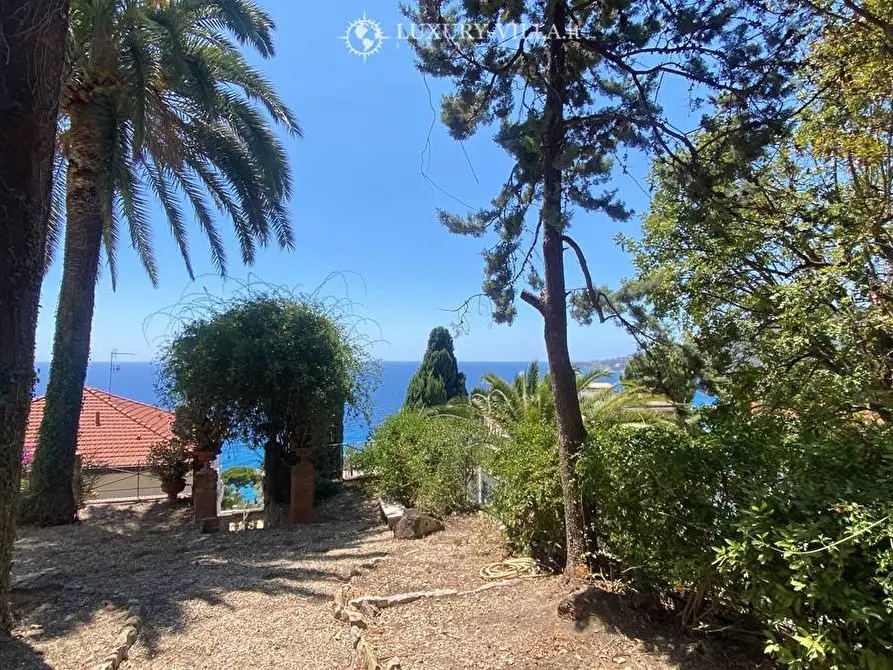 Immagine 23 di Villa in vendita  in via dei pepi a Ospedaletti