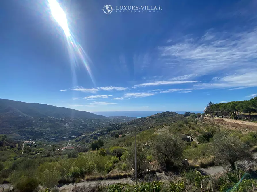 Immagine 10 di Villa in vendita  in strada mergai a Vallebona
