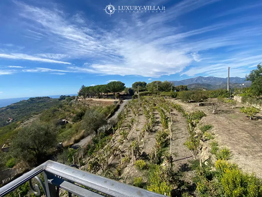 Immagine 11 di Villa in vendita  in strada mergai a Vallebona