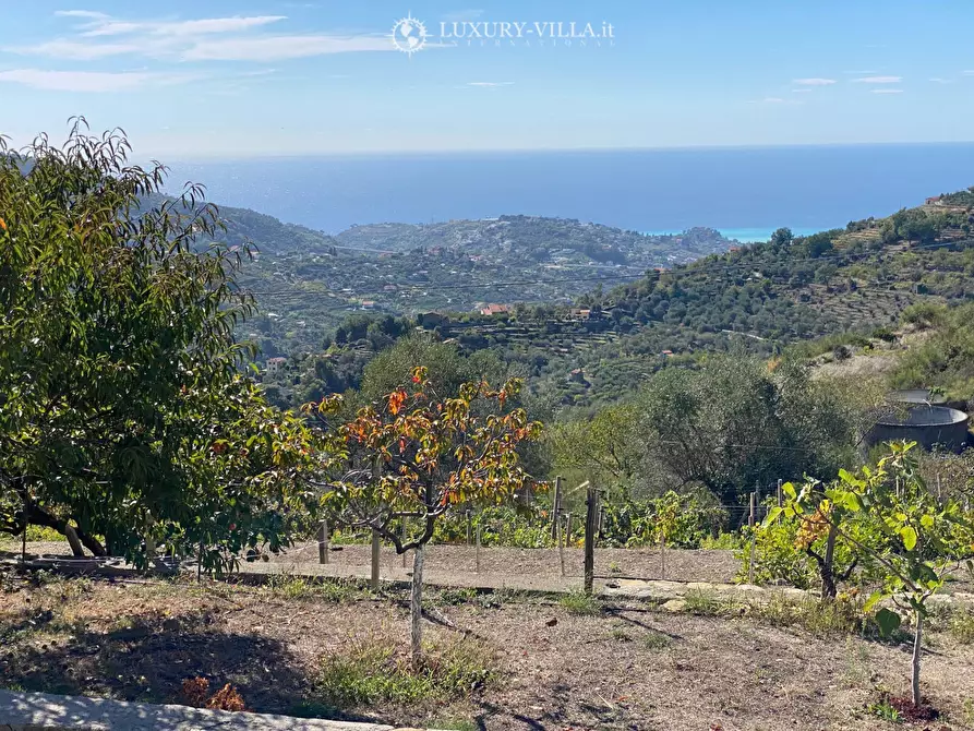 Immagine 14 di Villa in vendita  in strada mergai a Vallebona