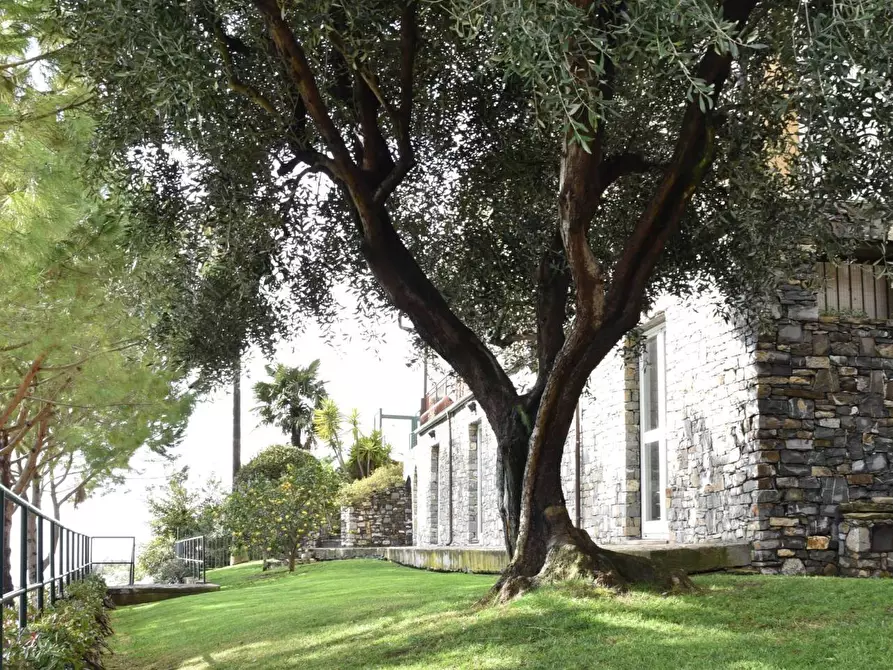 Immagine 4 di Villa in vendita  in strada martina noce a Ospedaletti