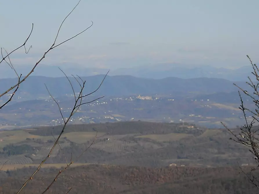 Immagine 7 di Albergo/B&B/Residence in vendita  in Vocabolo Ospedaletto a San Venanzo