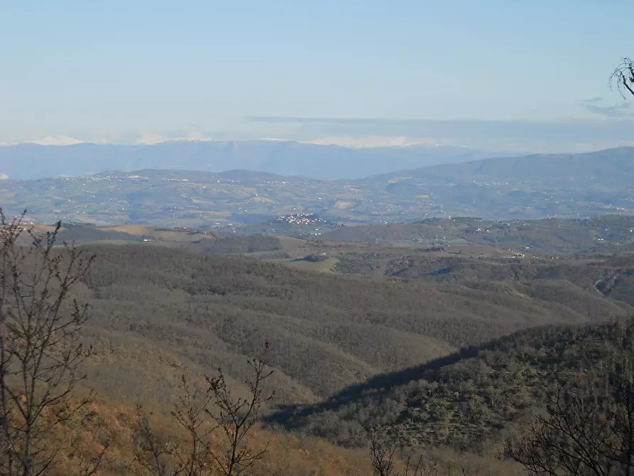Immagine 8 di Albergo/B&B/Residence in vendita  in Vocabolo Ospedaletto a San Venanzo