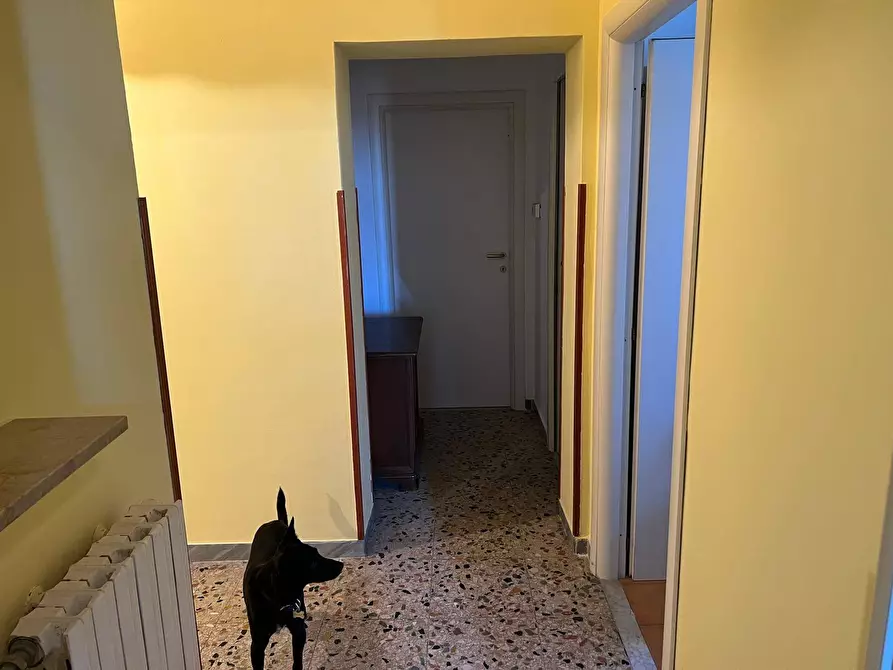 Immagine 4 di Appartamento in vendita  in Via dell'Airone a Roma