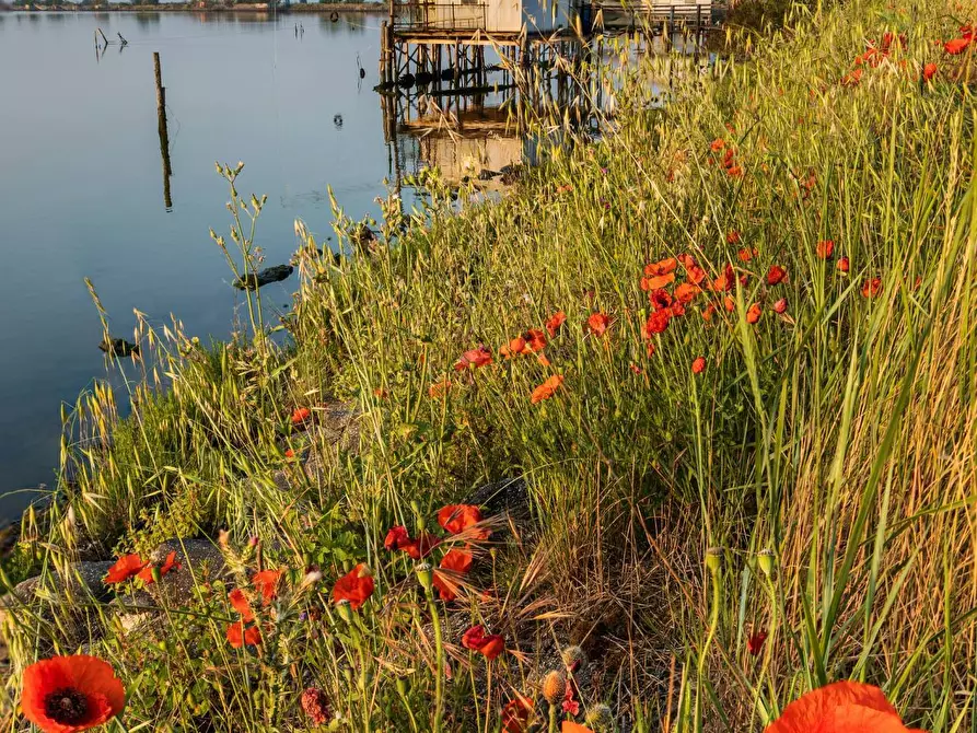 Immagine 7 di Casa indipendente in vendita  in zona centro a Comacchio
