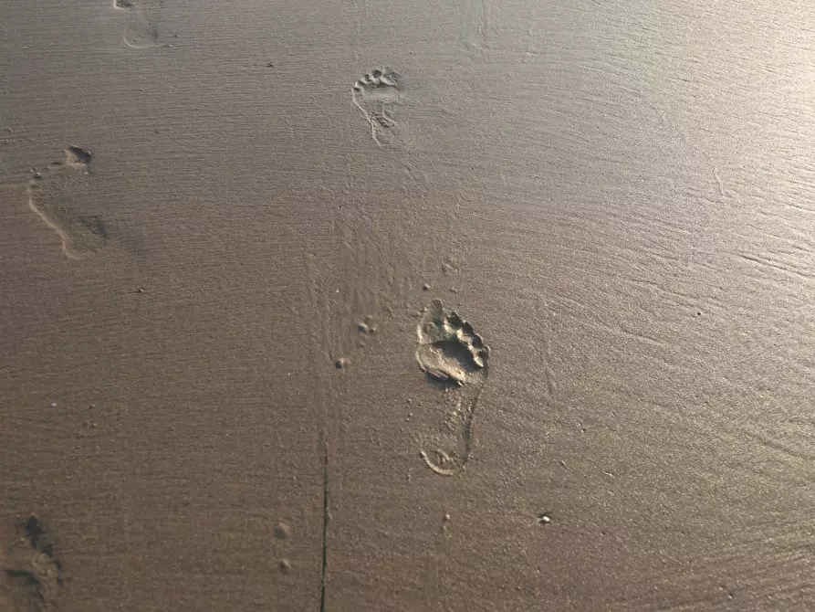 Immagine 12 di Attività commerciale in vendita  in VIA LEVANTINA a Jesolo