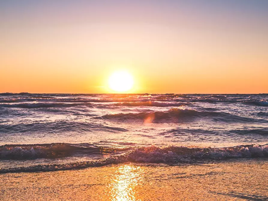 Immagine 9 di Attività commerciale in vendita  in JESOLO LIDO a Jesolo