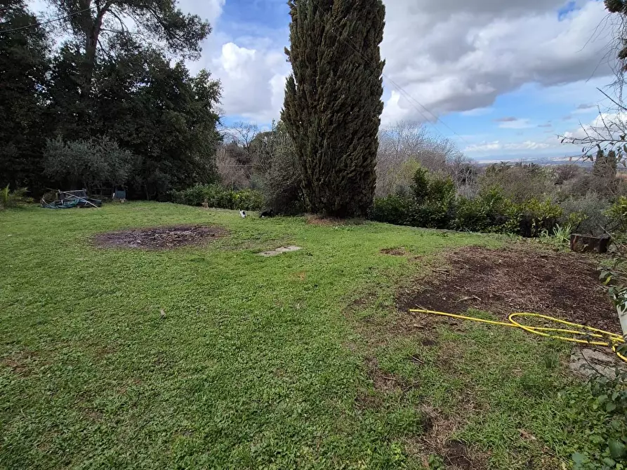 Immagine 22 di Villa in vendita  in Via Banco di Santo Spirito a Grottaferrata