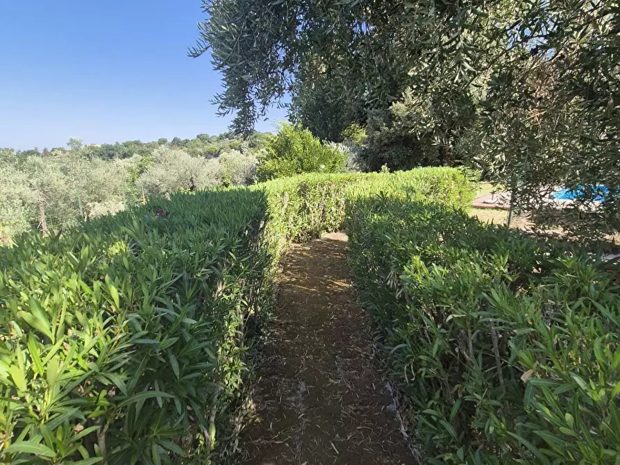 Immagine 26 di Villa in vendita  in Località Pinoleto a Montopoli Di Sabina