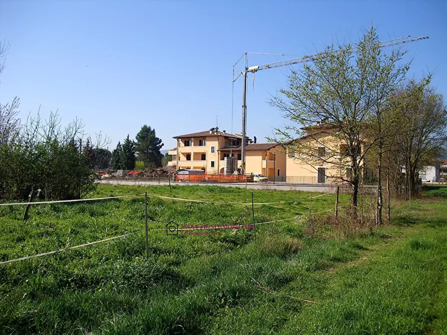 Immagine 2 di Terreno residenziale in vendita  in via Santa Elisabetta a Cannara