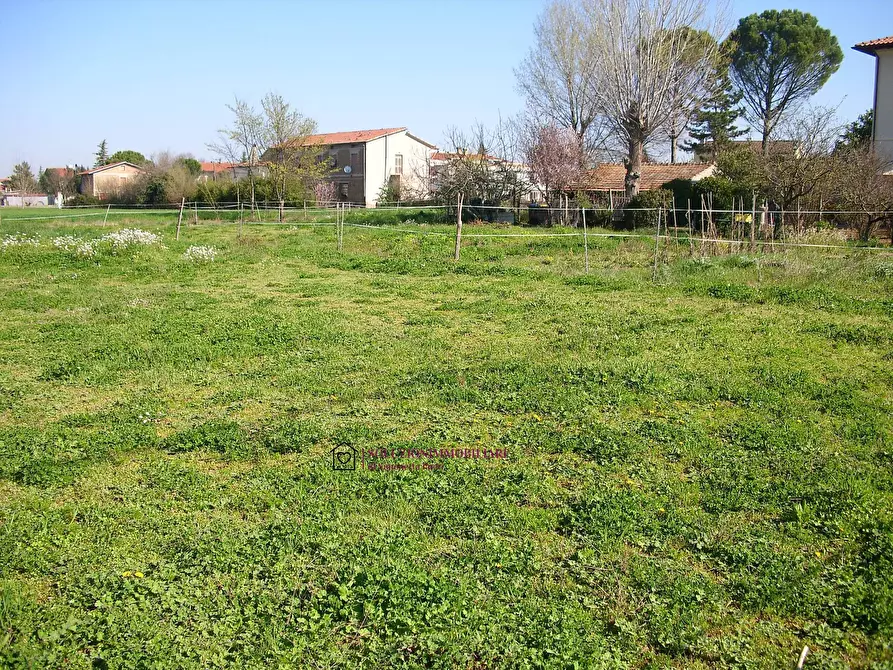 Immagine 3 di Terreno residenziale in vendita  in via Santa Elisabetta a Cannara