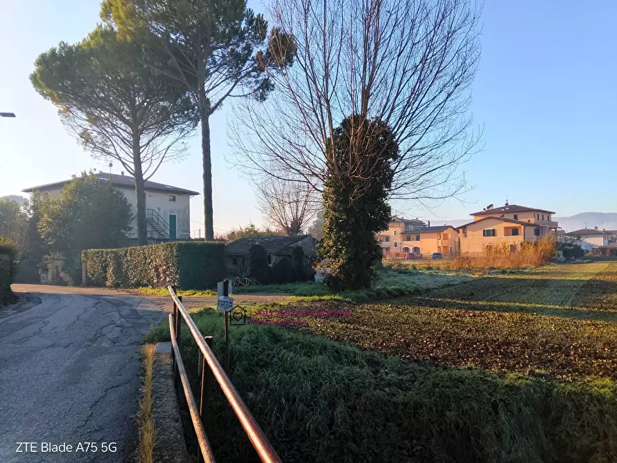 Immagine 8 di Terreno residenziale in vendita  in via Santa Elisabetta a Cannara