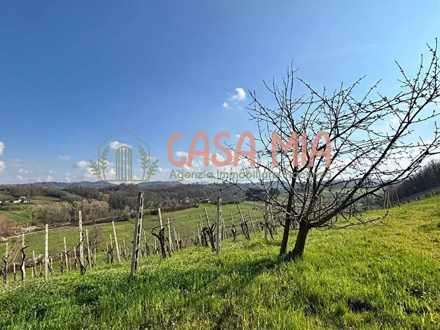 Immagine 5 di Villa in vendita  in Località travazzano a Carpaneto Piacentino