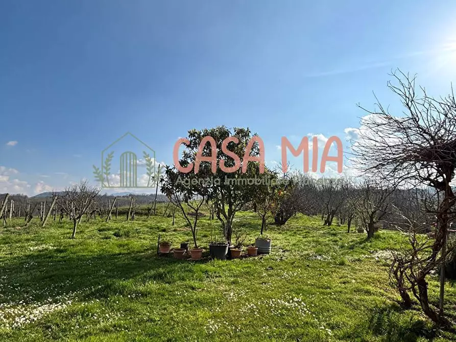 Immagine 9 di Villa in vendita  in Località travazzano a Carpaneto Piacentino