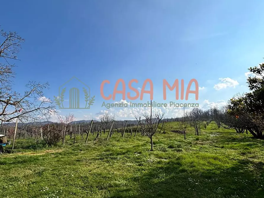 Immagine 11 di Villa in vendita  in Località travazzano a Carpaneto Piacentino