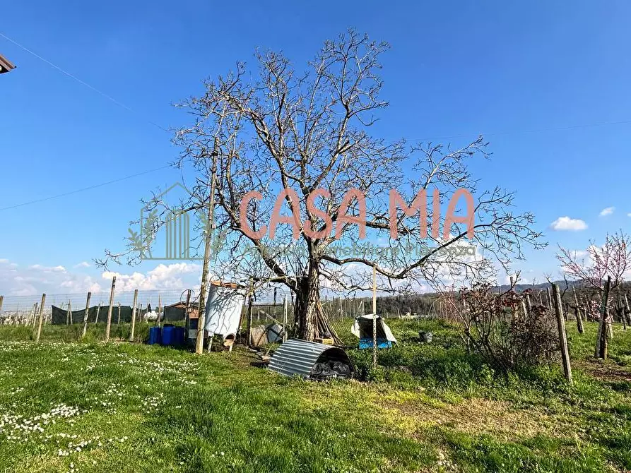 Immagine 12 di Villa in vendita  in Località travazzano a Carpaneto Piacentino