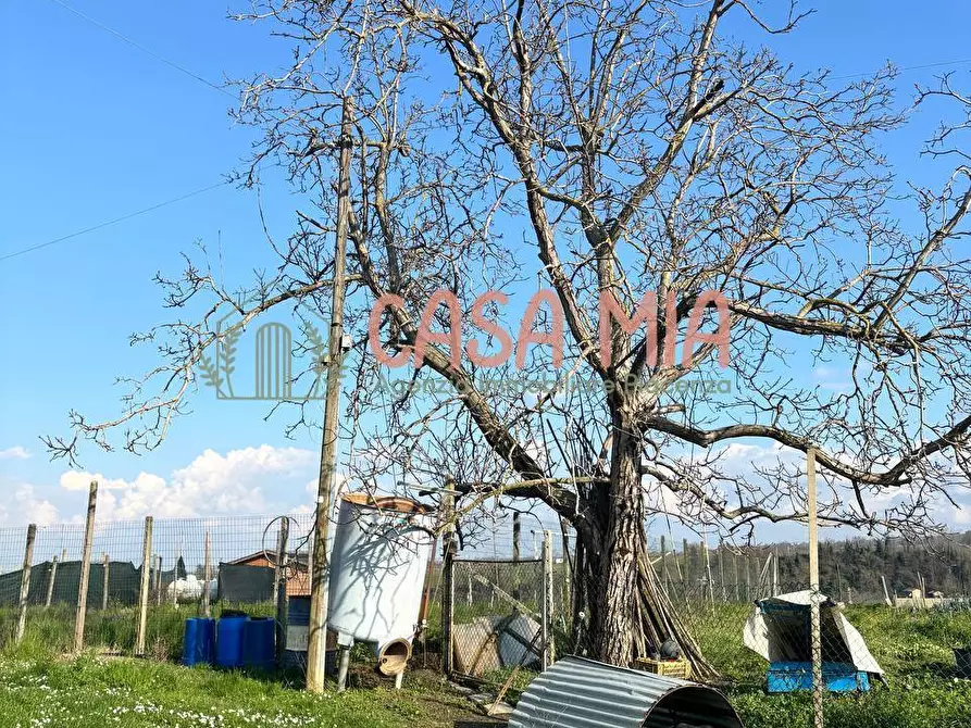 Immagine 14 di Villa in vendita  in Località travazzano a Carpaneto Piacentino