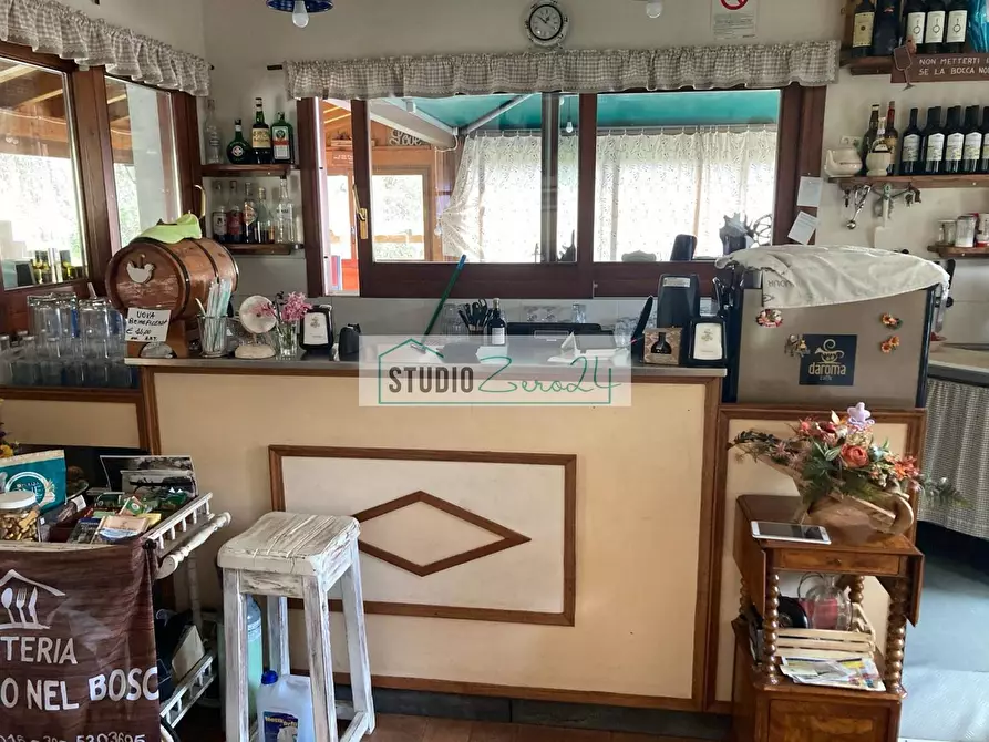 Immagine 8 di Locale commerciale in vendita  in Via Trescolli a Camaiore