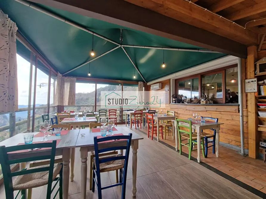 Immagine 10 di Locale commerciale in vendita  in Via Trescolli a Camaiore