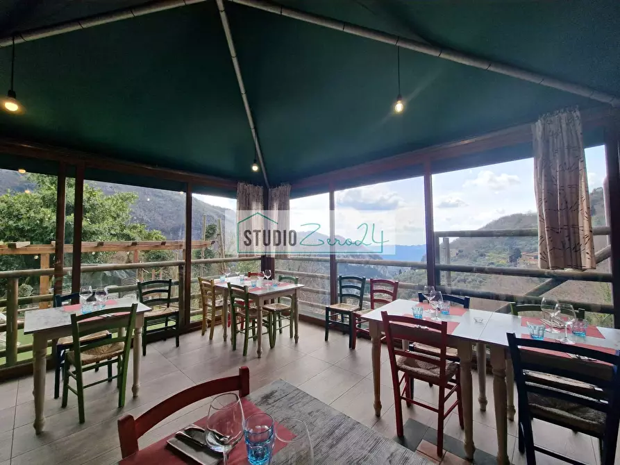 Immagine 14 di Locale commerciale in vendita  in Via Trescolli a Camaiore