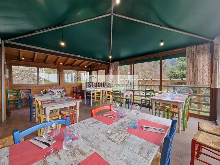 Immagine 16 di Locale commerciale in vendita  in Via Trescolli a Camaiore