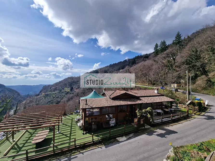 Immagine 2 di Attività commerciale in vendita  in Via Trescolli a Camaiore