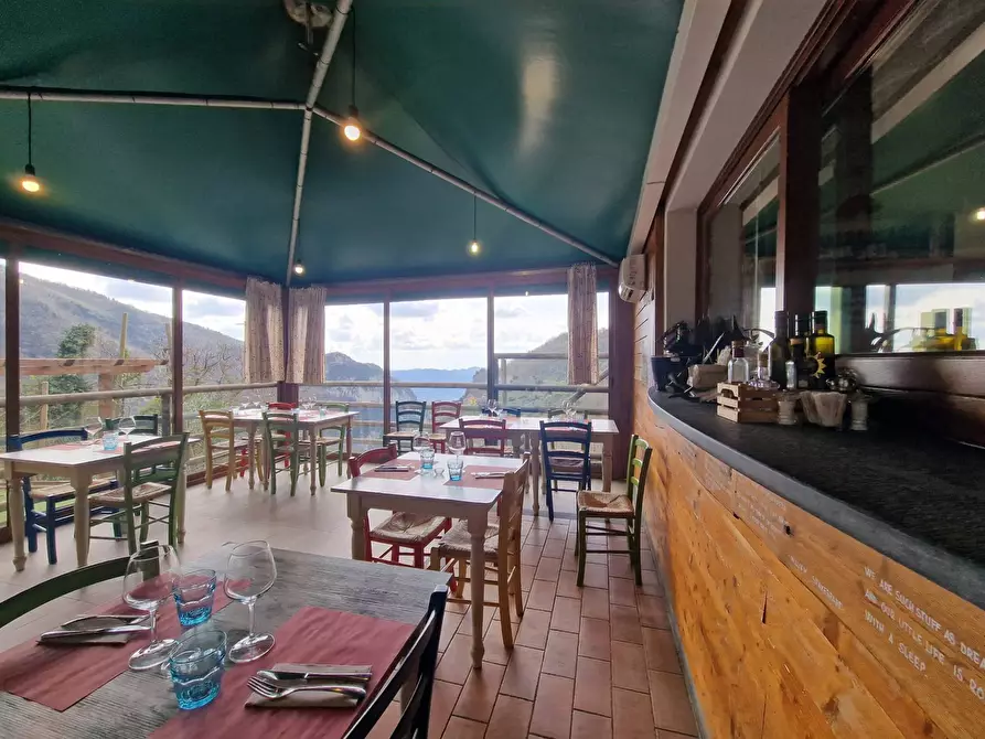 Immagine 8 di Attività commerciale in vendita  in Via Trescolli a Camaiore