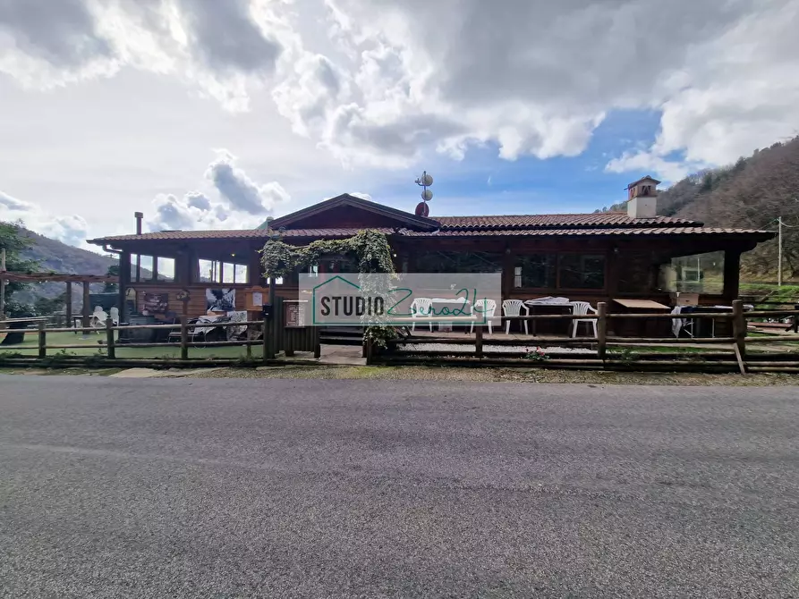 Immagine 19 di Attività commerciale in vendita  in Via Trescolli a Camaiore