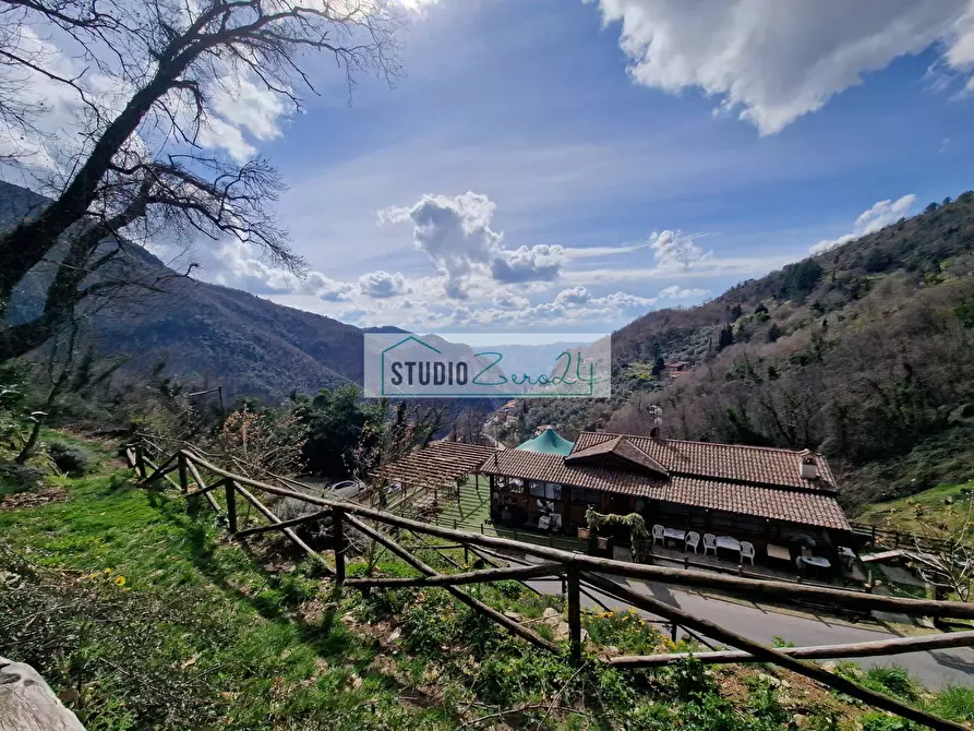 Immagine 20 di Attività commerciale in vendita  in Via Trescolli a Camaiore