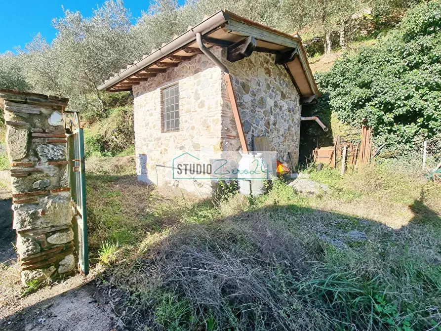 Immagine 1 di Terreno agricolo in vendita  in via sandro pertini a Camaiore