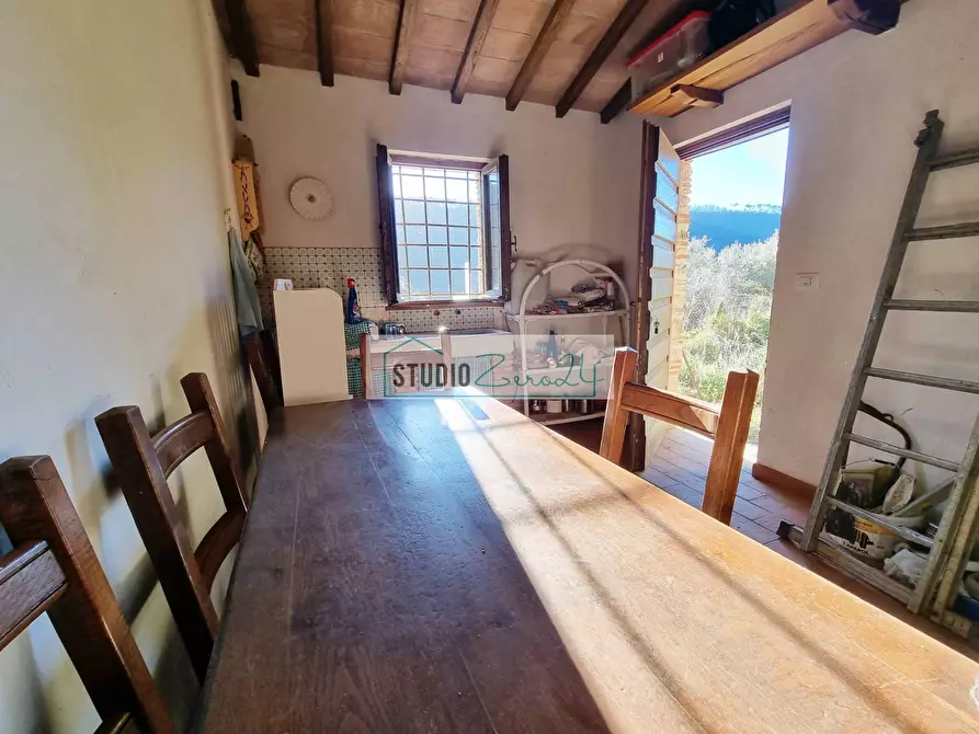 Immagine 6 di Terreno agricolo in vendita  in via sandro pertini a Camaiore