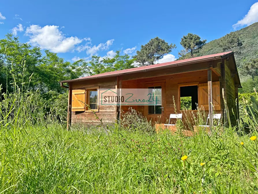 Immagine 3 di Terreno agricolo in vendita  in Via delle Silerchie a Camaiore