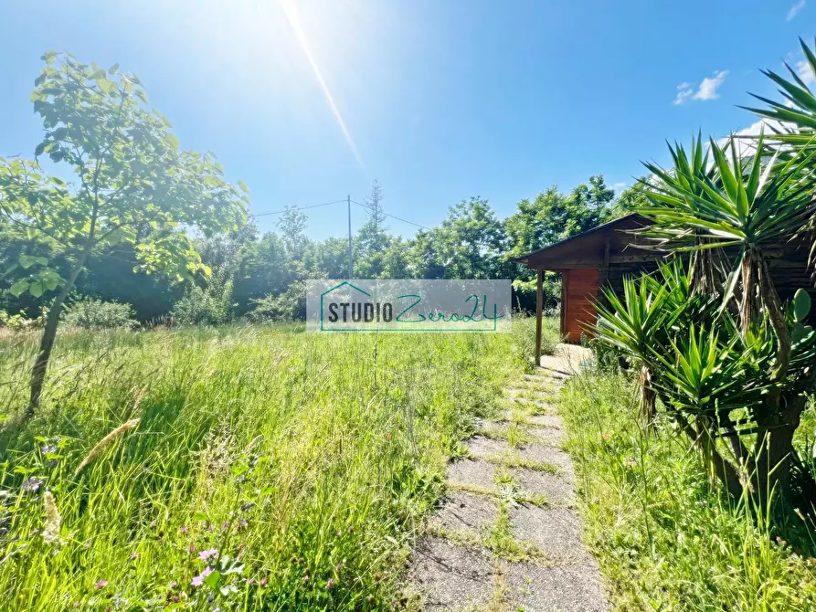 Immagine 2 di Terreno agricolo in vendita  in Via delle Silerchie a Camaiore