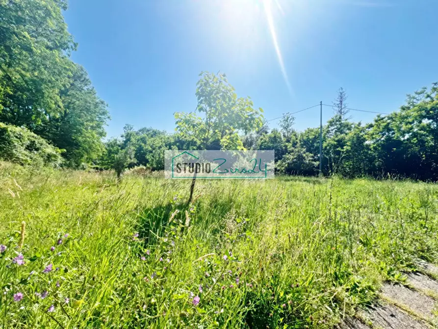 Immagine 6 di Terreno agricolo in vendita  in Via delle Silerchie a Camaiore