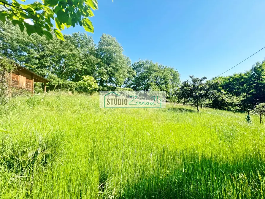 Immagine 7 di Terreno agricolo in vendita  in Via delle Silerchie a Camaiore