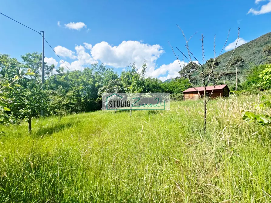 Immagine 9 di Terreno agricolo in vendita  in Via delle Silerchie a Camaiore