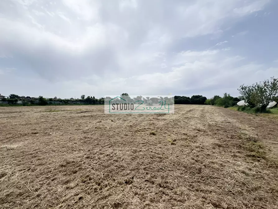 Immagine 6 di Terreno agricolo in vendita  in Via del Gallino a Camaiore